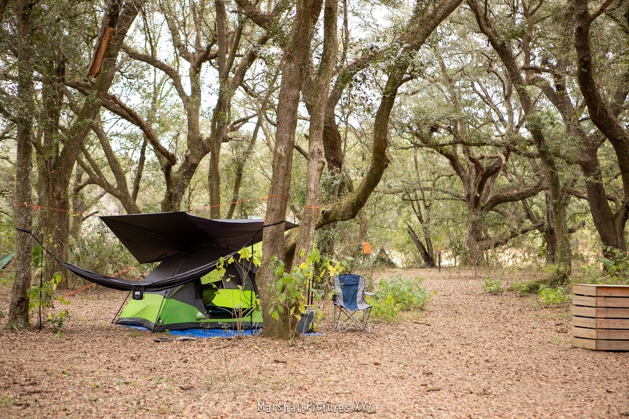 20240126 florida bushcraft meet up 2024 0008