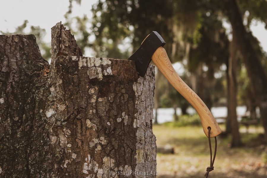 20241028 bushcraft 0024